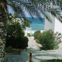 фото из отзыва ID 30168