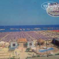 фото из отзыва ID 301174