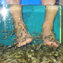 фото из отзыва ID 301185