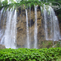 фото из отзыва ID 301494