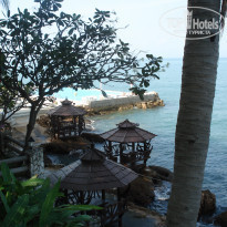 фото из отзыва ID 301510