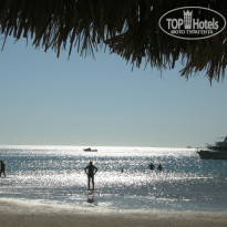 фото из отзыва ID 301651