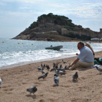 фото из отзыва ID 301693