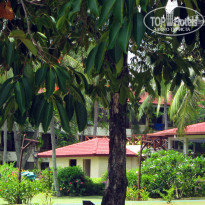 фото из отзыва ID 302077