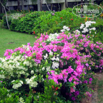 фото из отзыва ID 302077