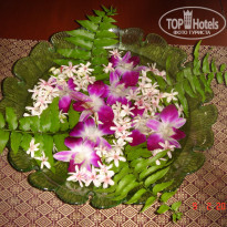 фото из отзыва ID 302161