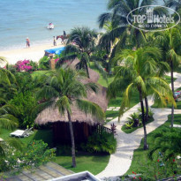 фото из отзыва ID 302055