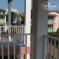 фото из отзыва ID 302683