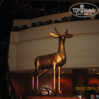 фото из отзыва ID 302060