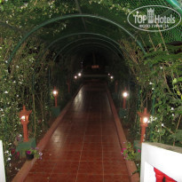 фото из отзыва ID 303182