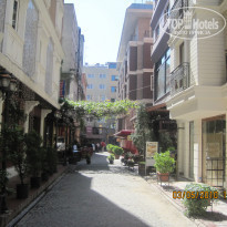 фото из отзыва ID 303416