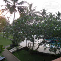 фото из отзыва ID 303580