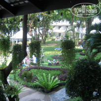 фото из отзыва ID 303670