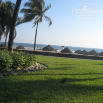 фото из отзыва ID 303832