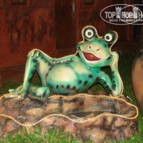 фото из отзыва ID 303865