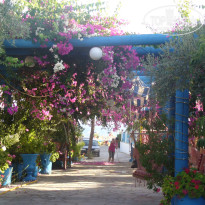 фото из отзыва ID 304034