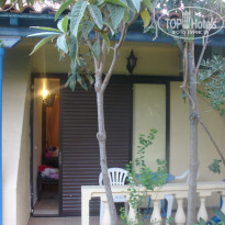 фото из отзыва ID 304034