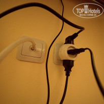 фото из отзыва ID 304381