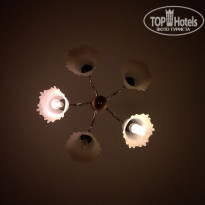 фото из отзыва ID 304381