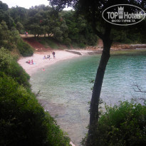 фото из отзыва ID 304394