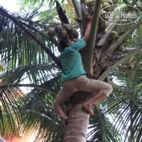 фото из отзыва ID 304630