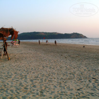 фото из отзыва ID 305116