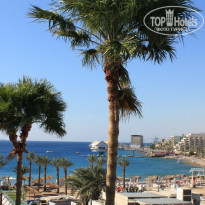 фото из отзыва ID 305043