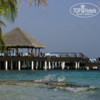 фото из отзыва ID 305323