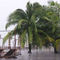 фото из отзыва ID 305323