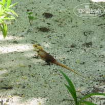 фото из отзыва ID 305512