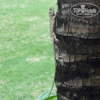 фото из отзыва ID 305651