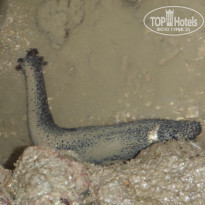 фото из отзыва ID 305747