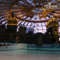 фото из отзыва ID 305868