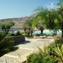 фото из отзыва ID 305874