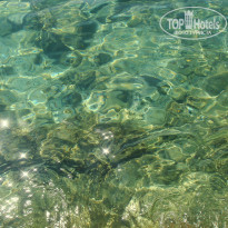 фото из отзыва ID 305874