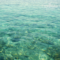 фото из отзыва ID 305874