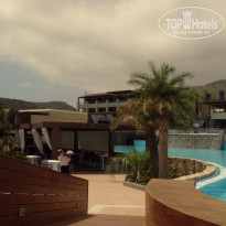 фото из отзыва ID 305874