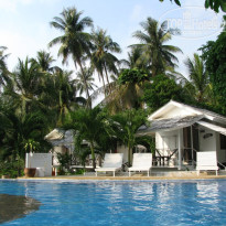 фото из отзыва ID 305891