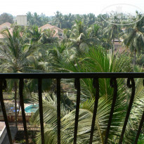 фото из отзыва ID 306451