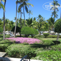 фото из отзыва ID 306641