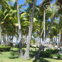 фото из отзыва ID 306641