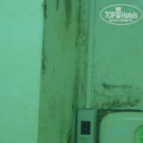 фото из отзыва ID 307002