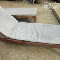 фото из отзыва ID 307002