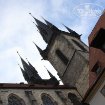 фото из отзыва ID 307220