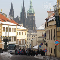 фото из отзыва ID 307220