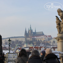 фото из отзыва ID 307220