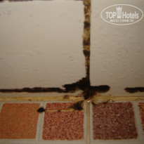 фото из отзыва ID 307479