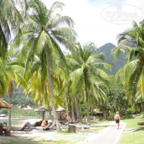 фото из отзыва ID 307703