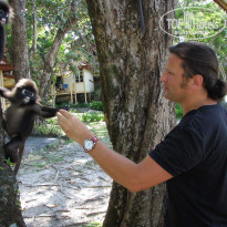 фото из отзыва ID 307703