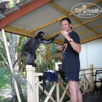 фото из отзыва ID 307703